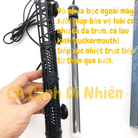 cây sưởi hồ cá rồng cây sưởi hồ cá rồng