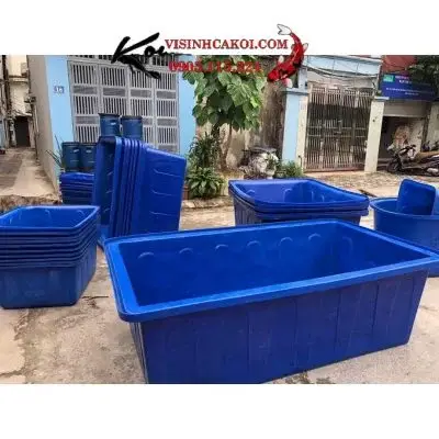 chậu nuôi cá koi chậu nuôi cá koi