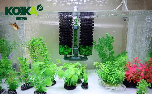 chế lọc vi sinh cho bể cá chế lọc vi sinh cho bể cá
