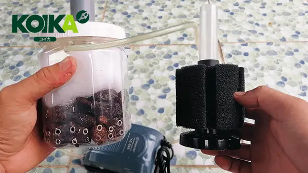 chế lọc vi sinh cho bể cá chế lọc vi sinh cho bể cá