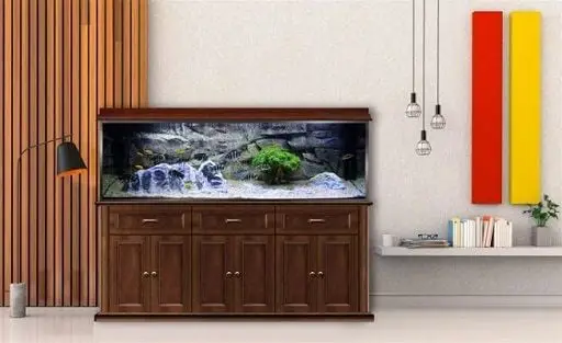 chiều cao chân bể cá chiều cao chân bể cá