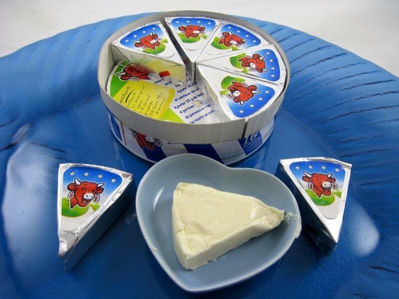 Chó Ăn Phô Mai Con Bò Cười Được Không? Hướng Dẫn Chi Tiết
