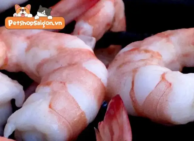 Chó ăn tôm được không - Hướng dẫn chi tiết chó ăn tôm được không