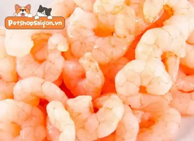 Lợi ích sức khỏe của tôm đối với chó cưng chó ăn tôm được không
