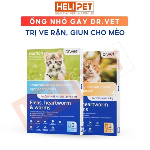 Chó bị giun bỏ ăn: Chẩn đoán và điều trị chó bị giun bỏ ăn