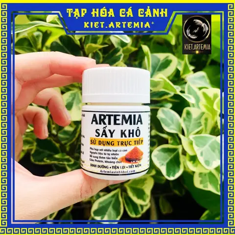 cho cá ăn artemia cho cá ăn artemia