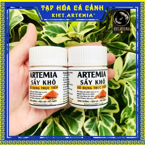 cho cá ăn artemia cho cá ăn artemia