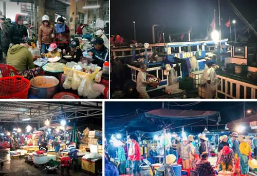 chợ cá hội an chợ cá hội an