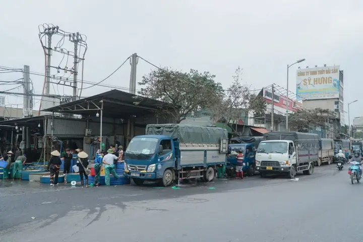 chợ cá yên sở chợ cá yên sở