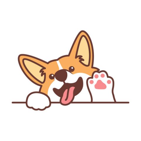 Chó Corgi Cute: Đặc Điểm, Tính Cách Và Cách Chăm Sóc Thú Cưng Này Hình ảnh chó Corgi dễ thương