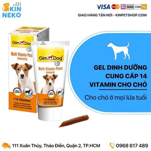 Chó Mặt Ngu: Đặc Điểm, Chăm Sóc Và Tình Cảm Với Gia Đình Dinh dưỡng hợp lý cho chó mặt ngu