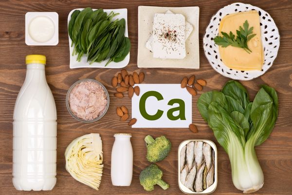 Chế độ dinh dưỡng cho chó phốc sóc nâu