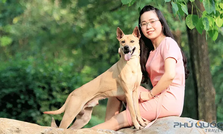 Đặc Điểm Thể Chất Độc Đáo Của Chó Phú Quốc