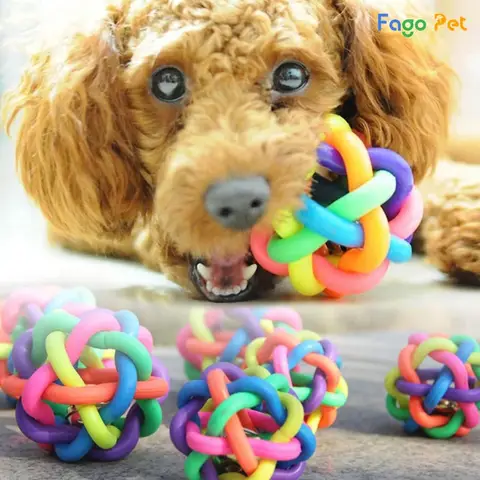 Chó Poodle thích chơi gì Chó Poodle thích chơi gì
