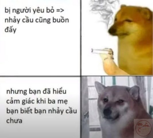 Nguồn gốc và sự phổ biến của chọc chó meme