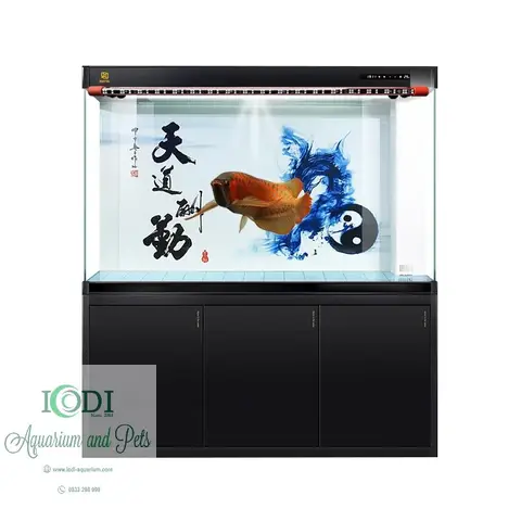 chọn phông nền cho cá rồng