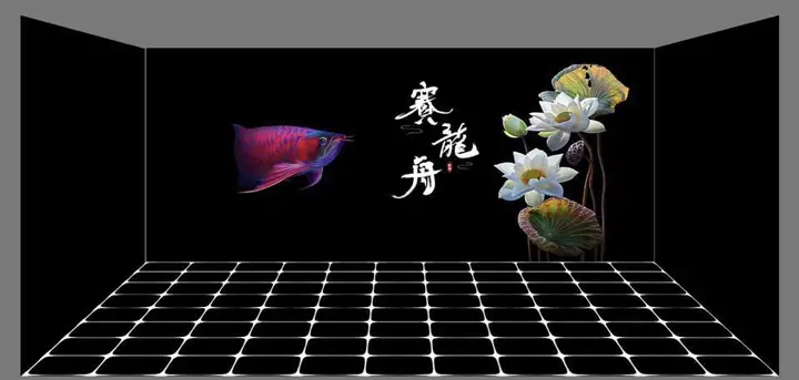chọn phông nền cho cá rồng