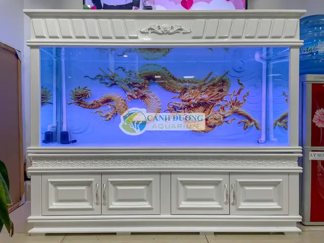 chọn phông nền cho cá rồng