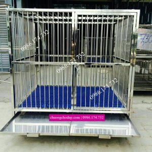 Kích thước chuồng chó Phú Quốc: Tiêu chuẩn và Hướng dẫn chọn