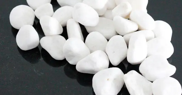 có nên rải sỏi trong hồ cá có nên rải sỏi trong hồ cá