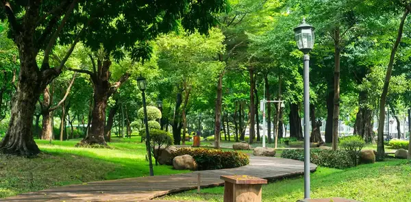 Công Viên Cho Chó TPHCM: Hướng Dẫn Chọn Và Top Địa Điểm Lý Tưởng Công Viên Cho Chó TPHCM: Hướng Dẫn Chọn Và Top Địa Điểm Lý Tưởng