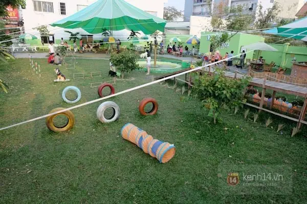 Khám Phá Công Viên Chó Quận 7: Hướng Dẫn Chi Tiết Cho Chủ Nuôi Hiện Đại công viên chó quận 7
