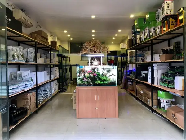 Top 7 Cửa Hàng Cá Cảnh Chất Lượng Cao, Được Yêu Thích Nhất cửa hàng cá cảnh