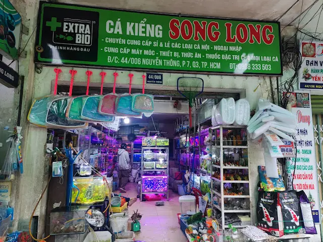 cửa hàng cá cảnh giá rẻ cửa hàng cá cảnh giá rẻ