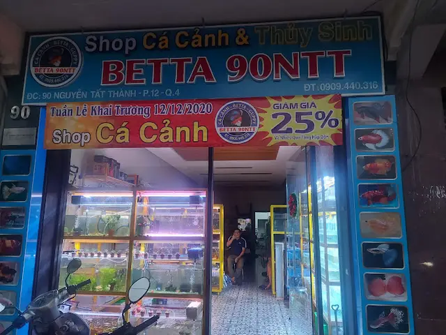 cửa hàng cá cảnh giá rẻ cửa hàng cá cảnh giá rẻ
