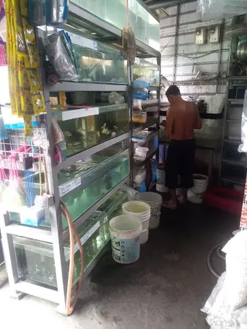 cửa hàng cá cảnh giá rẻ cửa hàng cá cảnh giá rẻ