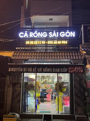 cửa hàng cá cảnh giá rẻ cửa hàng cá cảnh giá rẻ