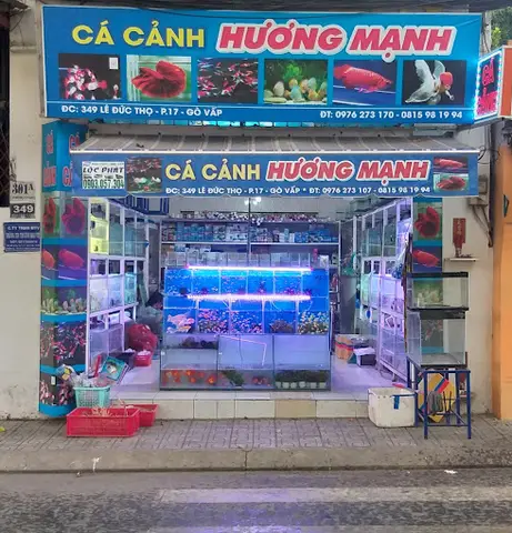 cửa hàng cá cảnh giá rẻ cửa hàng cá cảnh giá rẻ