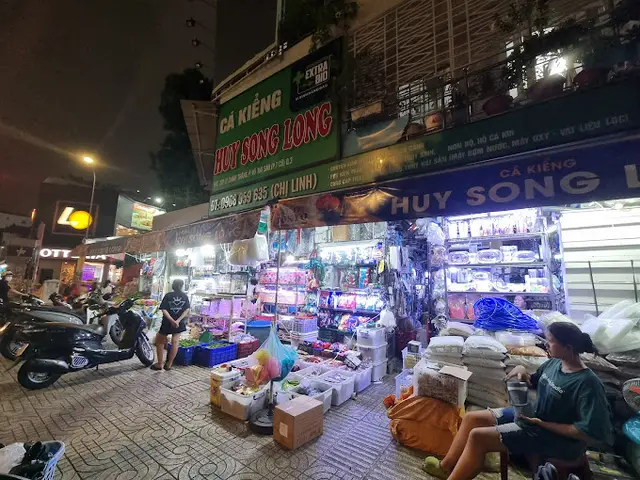 cửa hàng cá cảnh giá rẻ cửa hàng cá cảnh giá rẻ