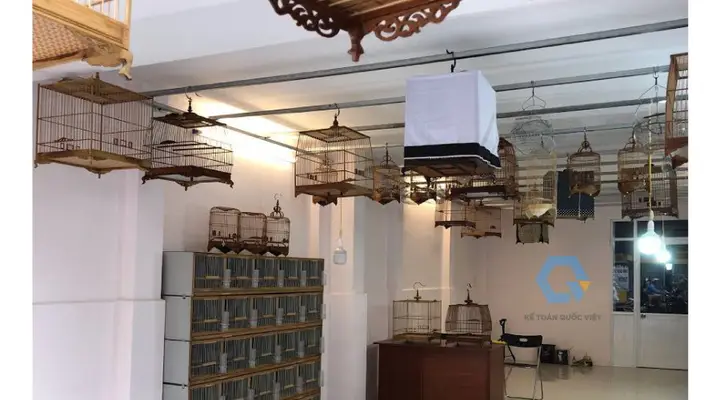 cửa hàng chim cá cảnh cửa hàng chim cá cảnh