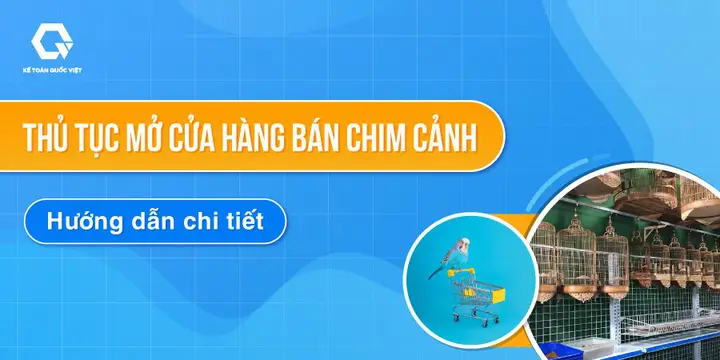 cửa hàng chim cá cảnh cửa hàng chim cá cảnh