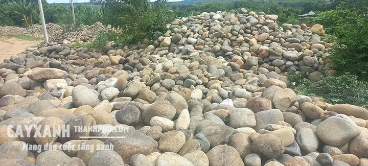 đá cuội hồ cá đá cuội hồ cá
