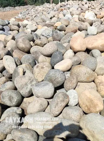 đá cuội hồ cá đá cuội hồ cá