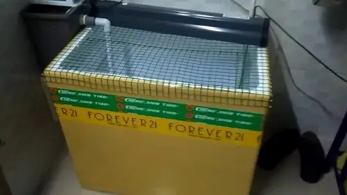 đánh đèn cho cá rồng highback đánh đèn cho cá rồng highback
