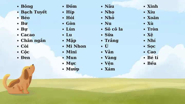 Đặt Tên Chó Hài Hước: 200+ Gợi Ý Độc Đáo Cười Ra Nước Mắt Đặt Tên Chó Hài Hước: 200+ Gợi Ý Độc Đáo Cười Ra Nước Mắt