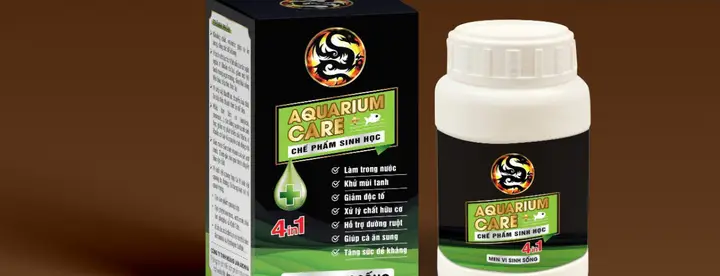 Dấu hiệu cá La Hán bị sình bụng: Nhận biết, nguyên nhân và xử lý dấu hiệu cá la hán bị sình bụng