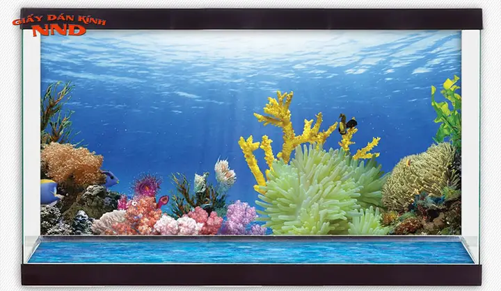 decal dán bể cá cảnh decal dán bể cá cảnh