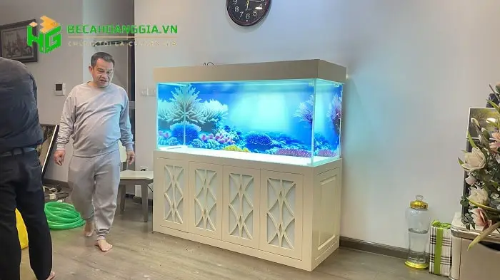 đèn bể cá rồng quá bối đèn bể cá rồng quá bối
