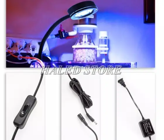 đèn cho hồ cá biển đèn cho hồ cá biển