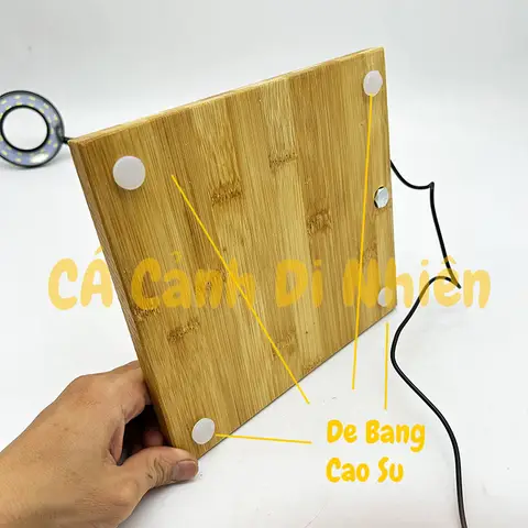 đèn led cho bể cá tròn đèn led cho bể cá tròn