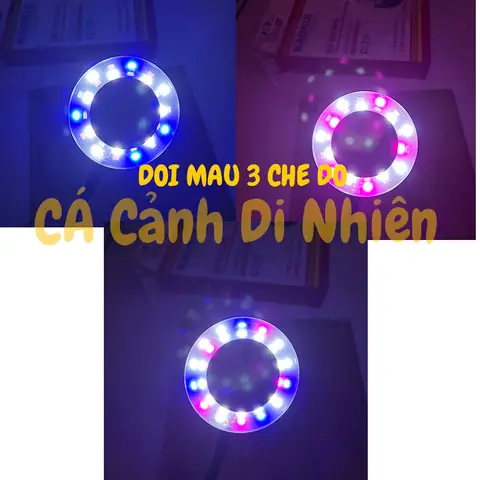 đèn led cho bể cá tròn đèn led cho bể cá tròn