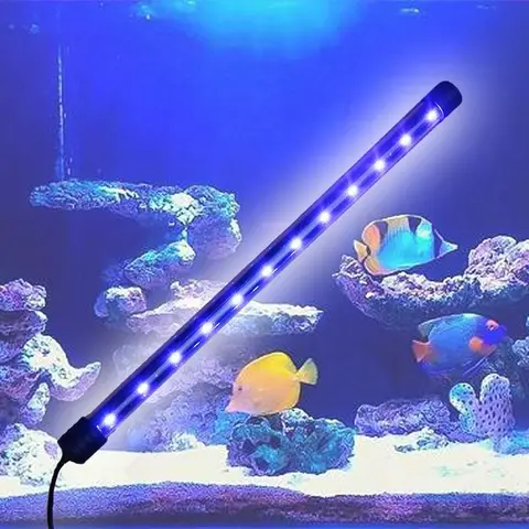 đèn led dây trang trí bể cá đèn led dây trang trí bể cá
