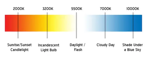 đèn led pom cá rồng đèn led pom cá rồng
