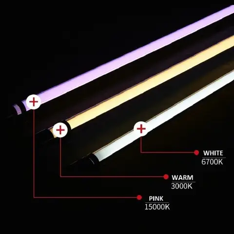 đèn nec tanning cá rồng