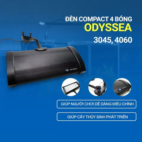 đèn odyssea cho cá rồng