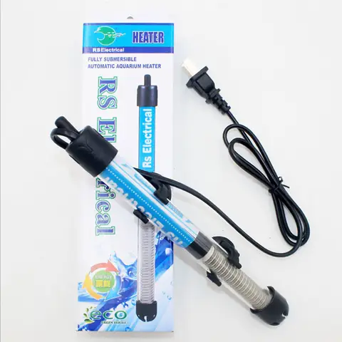 đi bắt cá bảy màu